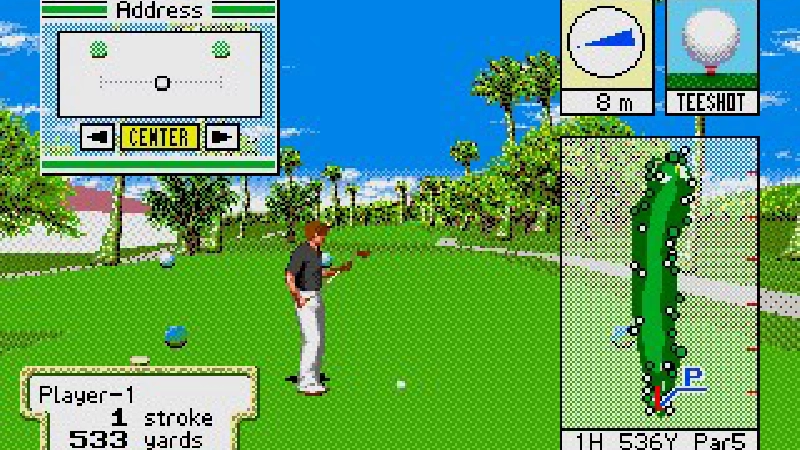 ワイアラエの奇蹟（NEW 3D GOLF SIMULATION4）