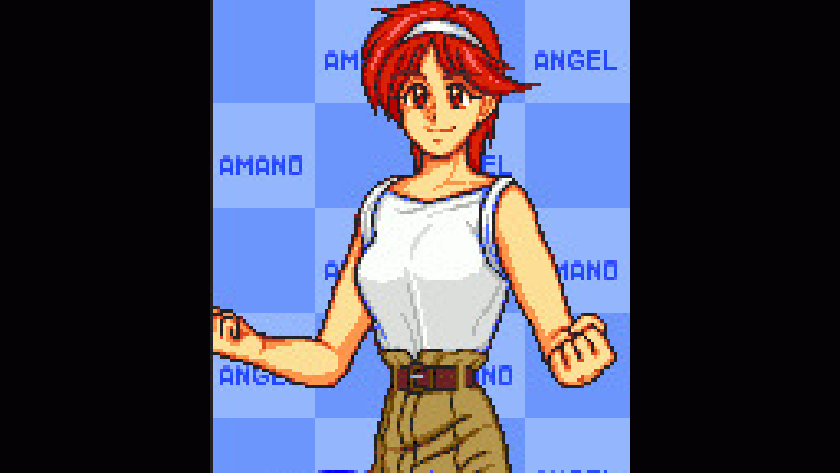 シリーズの概要