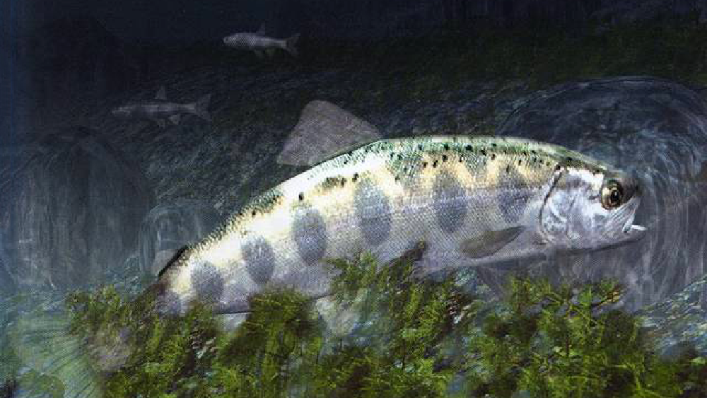 「リアリティ」と「こだわり」が生み出す美しい映像世界