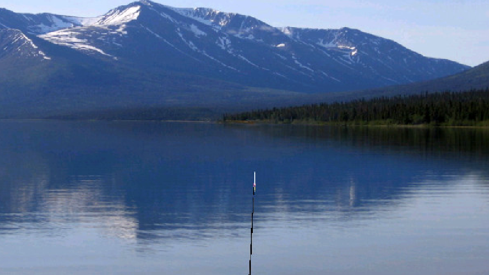 フィッシュアイズWii