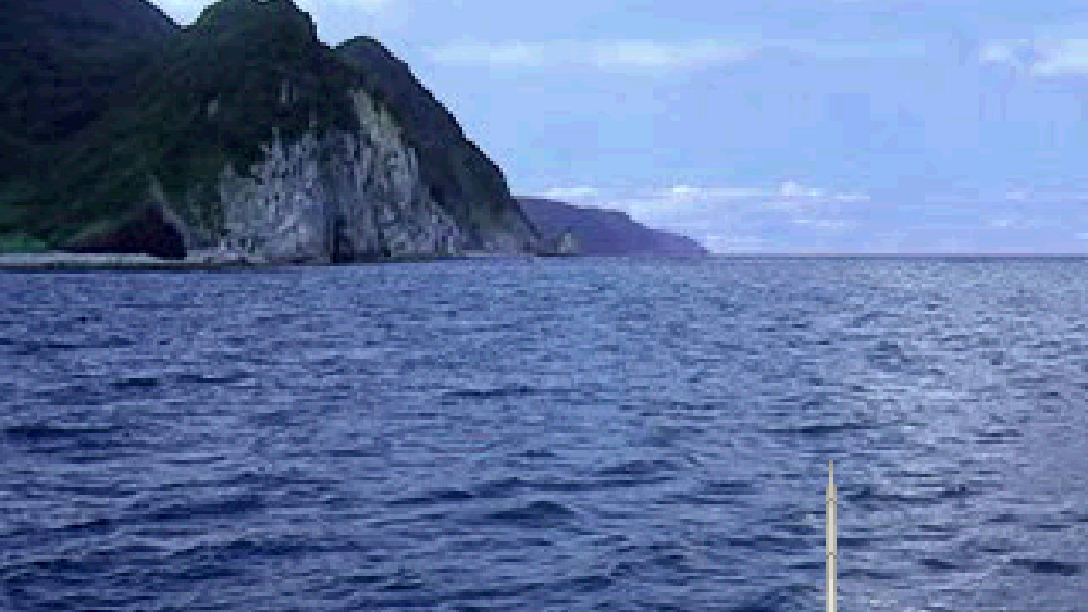 フィッシュアイズ2