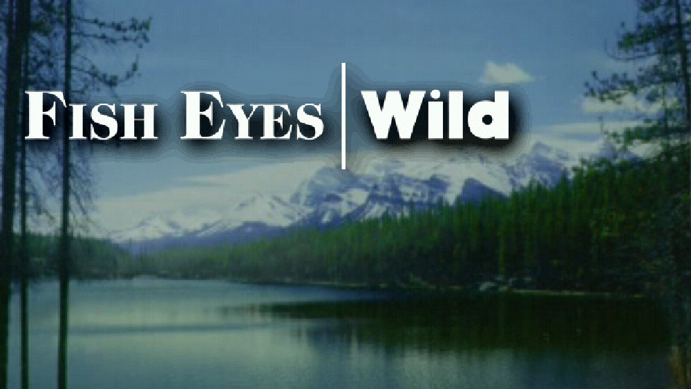 フィッシュアイズ ワイルド