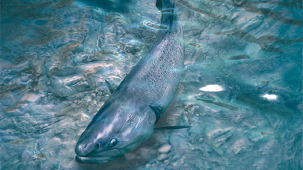 「釣り」という行為を超えた“心の物語”