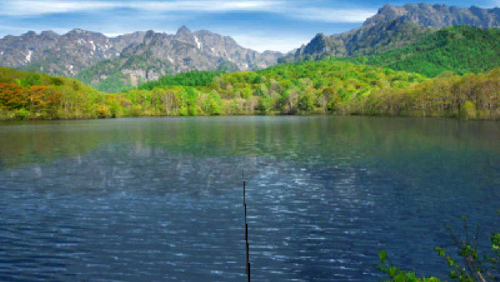 フィッシュアイズ3D