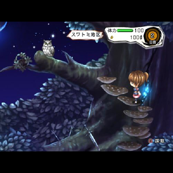 
                                      カヌチ 黒き翼の章｜
                                      アイディアファクトリー｜                                      プレイステーション2 (PS2)                                      のゲーム画面