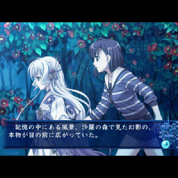 
                                      アオイシロ｜
                                      サクセス｜                                      プレイステーション2 (PS2)                                      のゲーム画面