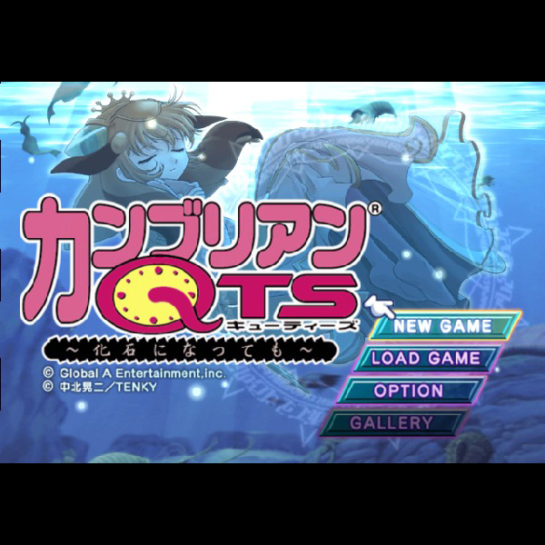 カンブリアンQTS｜プレイステーション2 (PS2)｜グローバル・A