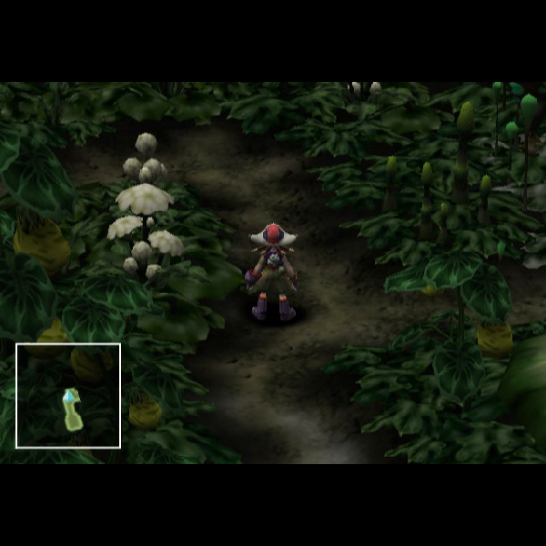 
                                      玉繭物語2 滅びの蟲｜
                                      元気｜                                      プレイステーション2 (PS2)                                      のゲーム画面