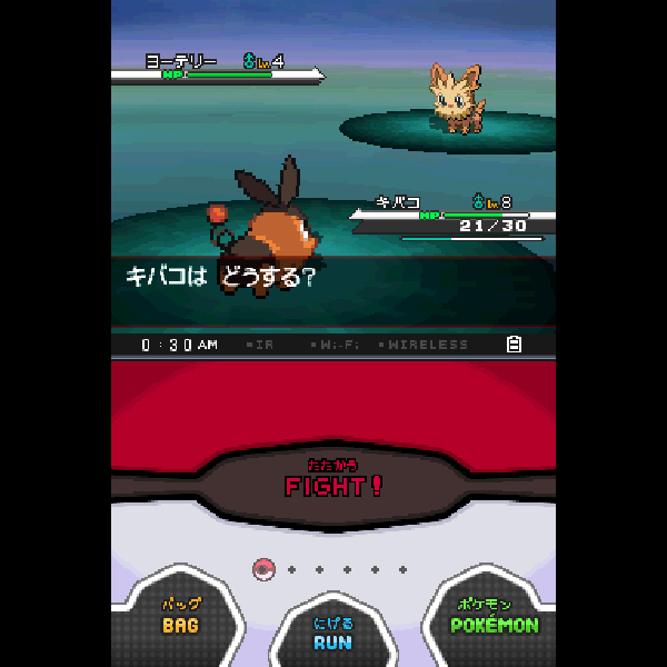 
                                      ポケットモンスター ホワイト｜
                                      任天堂｜                                      ニンテンドーDS (DS)                                      のゲーム画面