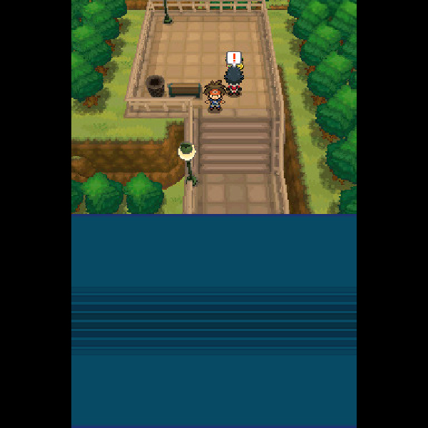 
                                      ポケットモンスター ブラック2｜
                                      任天堂｜                                      ニンテンドーDS (DS)                                      のゲーム画面