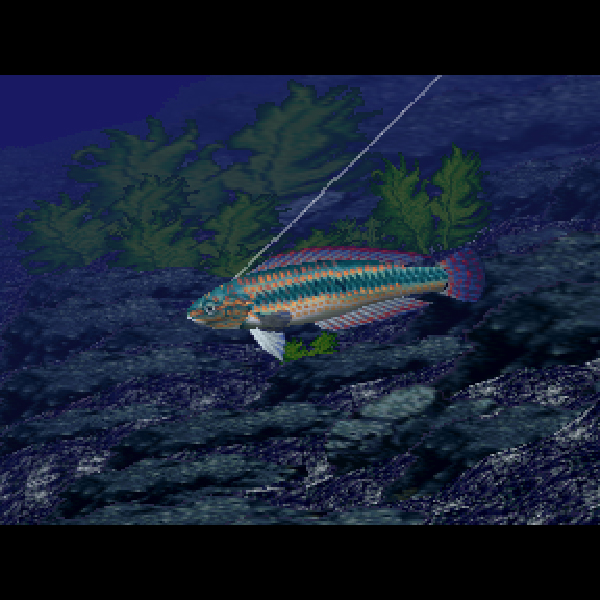 ぬし釣り64｜パック・イン・ビデオ｜ニンテンドー64 (N64)のゲーム画面