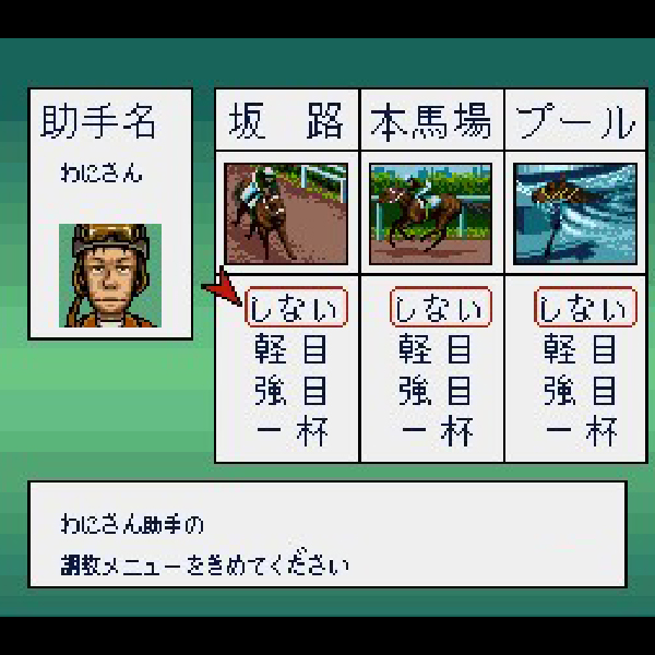 サラブレッドブリーダー2プラス サラブレッドブリーダー2｜スーパーファミコン (SFC)｜ヘクト