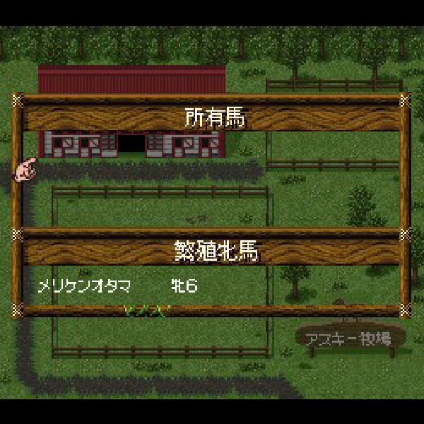 
                                      ダービースタリオン3｜
                                      アスキー｜                                      スーパーファミコン (SFC)                                      のゲーム画面