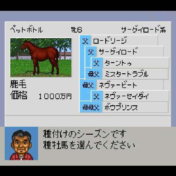 ダービースタリオン98｜スーパーファミコン (SFC)｜アスキー