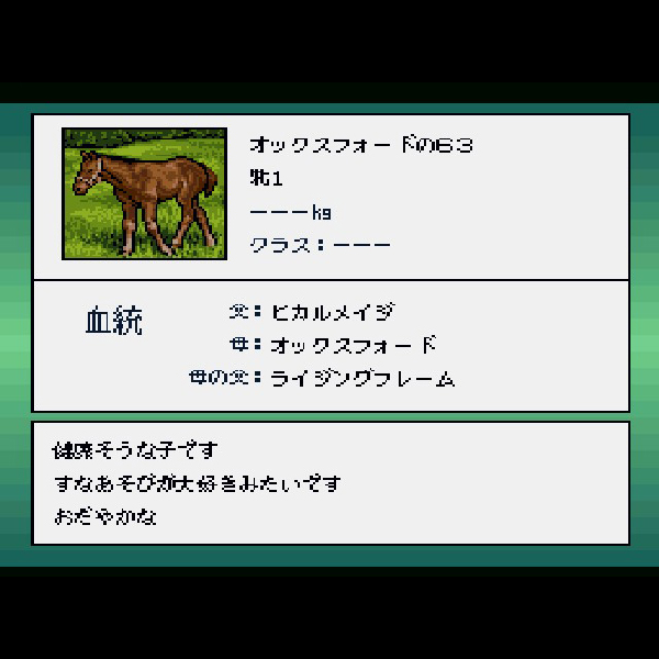 サラブレッドブリーダー2プラス｜プレイステーション (PS1